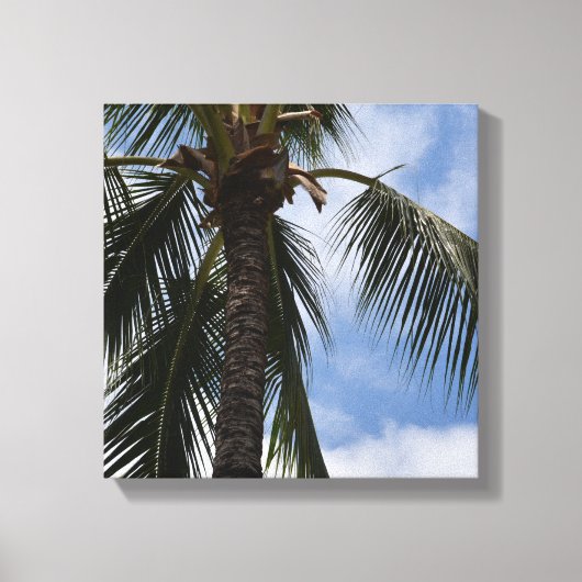 Kauai Tropische Palmboom Canvas Afdruk (Voorkant)