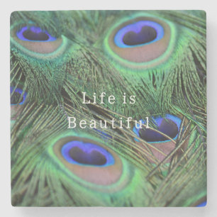 Kauai vogel pauw veren (foto genomen door mij) stenen onderzetter