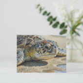 Kauai Zeeschildpad Close-up Briefkaart (Staand voorkant)