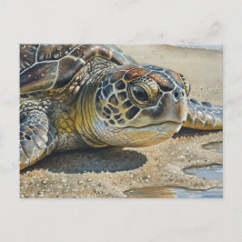 Kauai Zeeschildpad Close-up Briefkaart