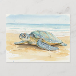 Kauai  Zeeschildpadden die op het strand rusten Briefkaart