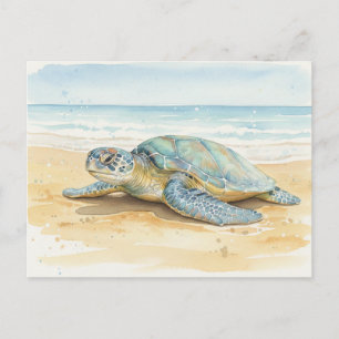Kauai  Zeeschildpadden die op het strand rusten Briefkaart