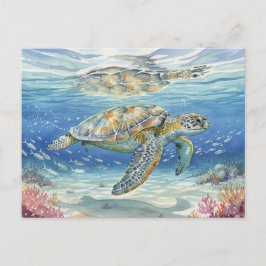 Kauai  Zeeschildpadden ondergedompeld in de zee Briefkaart