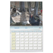 Kaukasisch Legend Boerderij Kalender (Feb 2027)