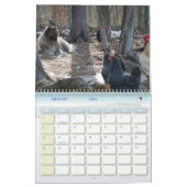 Kaukasisch Legend Boerderij Kalender (Feb 2026)