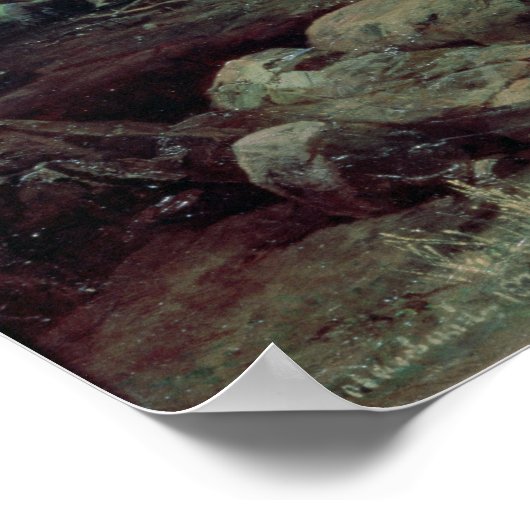 Kaukasus, 1872 poster (Hoek)