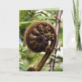 Kauri Forest Fern Kaart (Voorkant)
