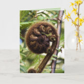 Kauri Forest Fern Kaart (Gele Bloem)