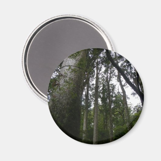 Kauri Forest Magneet (Voorkant / Achterkant)