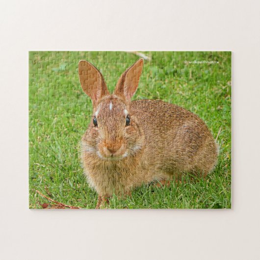 Kauwende Bunny Kauwde Groenen op de Golfvliegbaan Legpuzzel (Horizontaal)