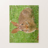 Kauwende Bunny Kauwde Groenen op de Golfvliegbaan Legpuzzel (Verticaal)