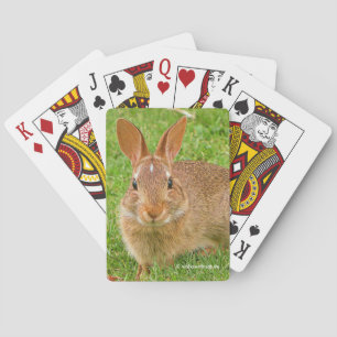 Kauwende Bunny Kauwde Groenen op de Golfvliegbaan Pokerkaarten