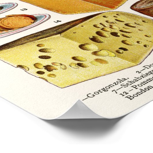 kauwkunst poster (Hoek)