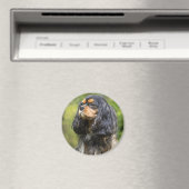 Kavaler King Charles Spaniel Magneet (Insitu (Vaatwasser))