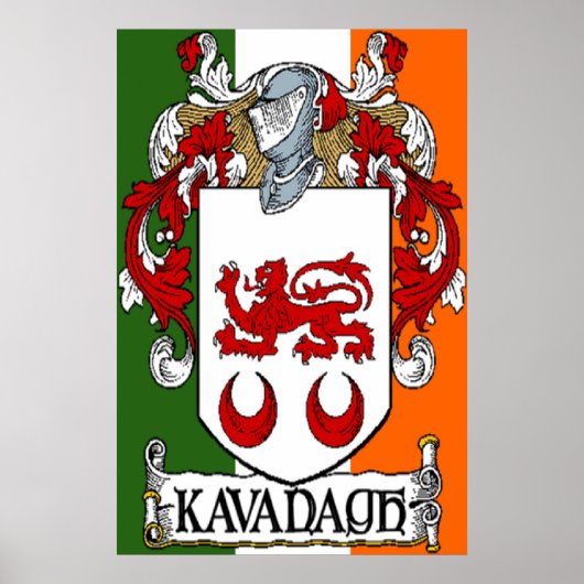 Kavanagh Coat of Arms Irish Flag Print (Voorkant)