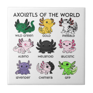 Kawaii Axolotls van de Wereld Tegeltje