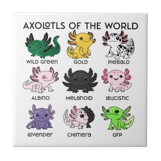 Kawaii Axolotls van de Wereld Tegeltje (Voorkant)