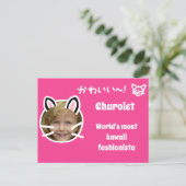 Kawaii Cat Purikura Style Foto Briefkaart (Staand voorkant)