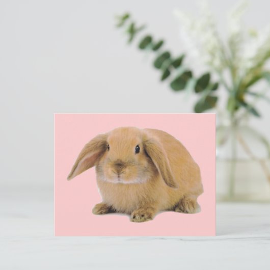 Kawaii Cute Bunny Rabbit Briefkaart (Staand voorkant)
