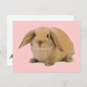 Kawaii Cute Bunny Rabbit Briefkaart (Voorkant / Achterkant)