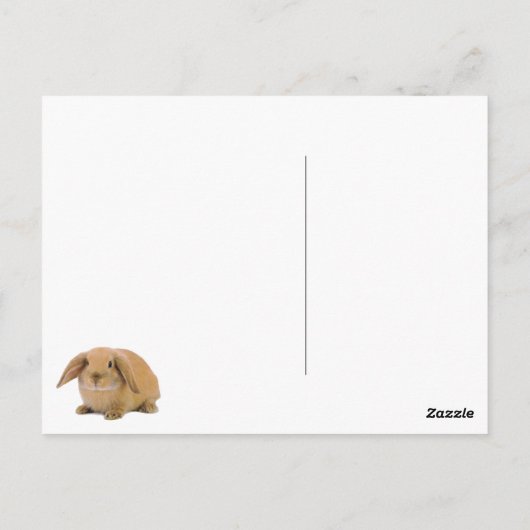 Kawaii Cute Bunny Rabbit Briefkaart (Achterkant)