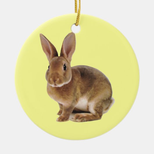 Kawaii Cute Bunny Rabbit Keramisch Ornament (Voorkant)