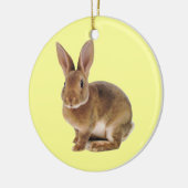 Kawaii Cute Bunny Rabbit Keramisch Ornament (Links)
