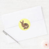 Kawaii Cute Bunny Rabbit Ronde Sticker (Envelop)