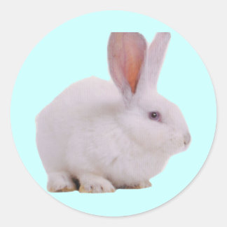 Kawaii Cute Bunny Ronde Sticker
