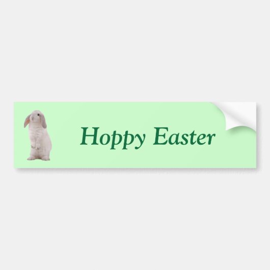 Kawaii Cute Konijn Konijn Bumpersticker (Voorkant)