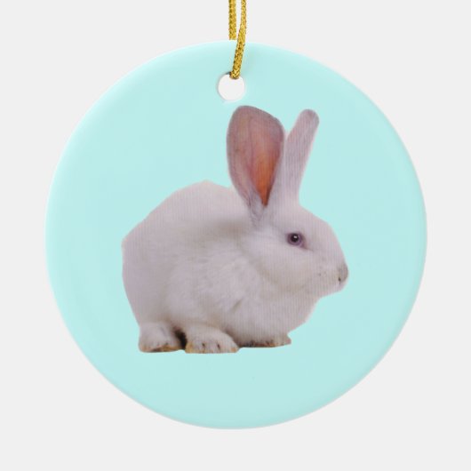 Kawaii Cute Konijn Konijn Keramisch Ornament (Voorkant)