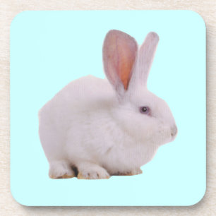 Kawaii Cute Konijn Konijn Onderzetter