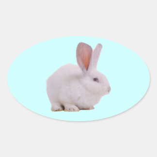 Kawaii Cute Konijn Konijn Ovale Sticker