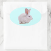 Kawaii Cute Konijn Konijn Ovale Sticker (Tas)