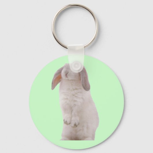 Kawaii Cute Konijn Konijn Sleutelhanger (Voorkant)