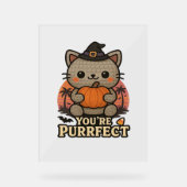 Kawaii Halloween kat met pompoen, Schattigee heks Acryl Bord (Voorkant)