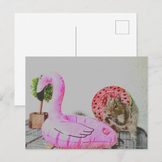 Kawaii ♡ klein dier briefkaart (Voorkant / Achterkant)