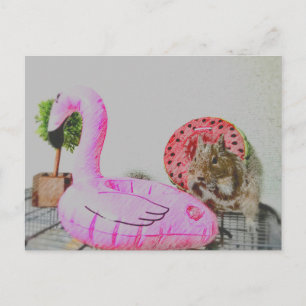 Kawaii ♡ klein dier briefkaart