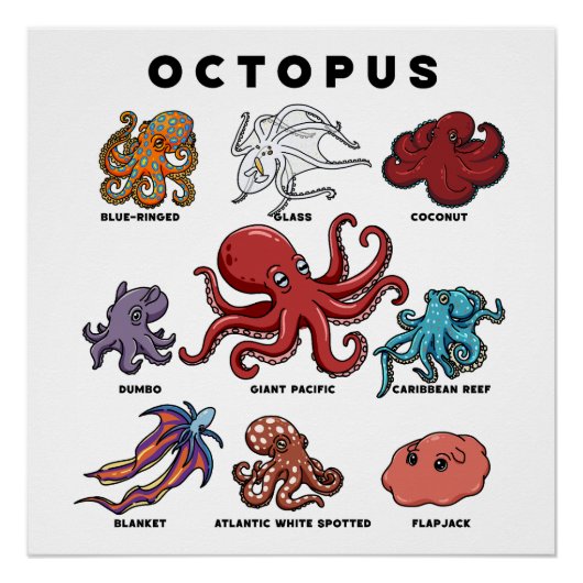 Kawaii Octopus van de Wereld Perfect Poster (Voorkant)