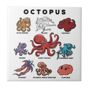 Kawaii Octopus van de Wereld Tegeltje