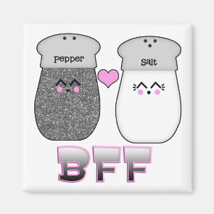 Kawaii Salt n Pepper BFF Magneet