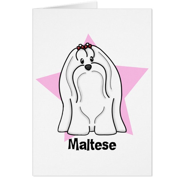 Kawaii Star Maltese (Voorkant)