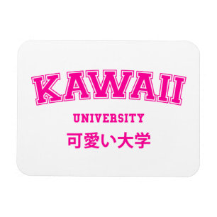 KAWAII UNIVERSITY MAGNEET