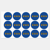 Kawaii Zon met Zonnebril Happy Emoji Faces Labels (Vel)