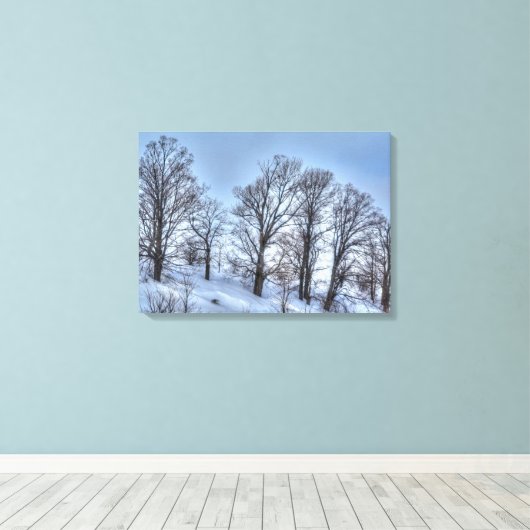 Kawartha Winter Forest Trees Natuur Schilderachtig Canvas Afdruk (Insitu (Houten vloer))