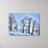 Kawartha Winter Forest Trees Natuur Schilderachtig Canvas Afdruk (Voorkant)