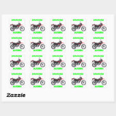 Kawasaki KLX250 stickers (Vel)