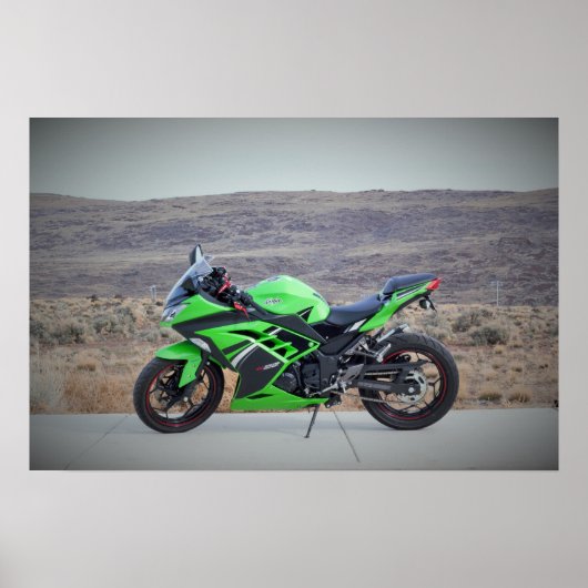 Kawasaki Ninja 300 Poster (Voorkant)