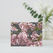 Kawazu-zakura (Cherry Blossom): Tokyo Briefkaart (Staand voorkant)