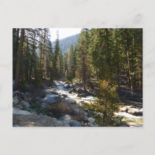 Kaweah rivier in Sequoia National Park Briefkaart (Voorkant)